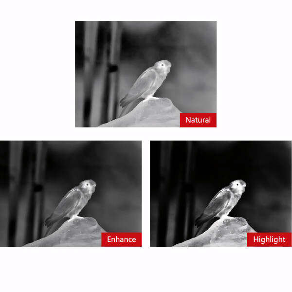 Guide Camera termica TN650