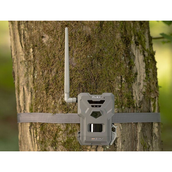 Spypoint Rilevatore di selvaggina Telecamera per animali selvatici  FLEX