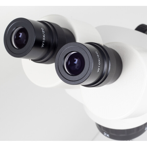 Motic Microscopio stereo SFC-11C-N2LED