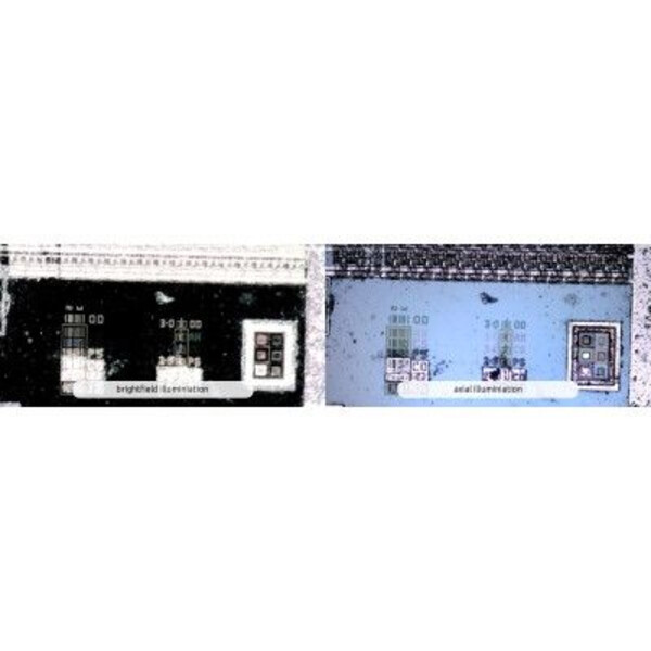 Dino-Lite Microscopio AM7515MT8A, 5 MP, 700-900x, 8 LED, 30 fps, USB 2.0