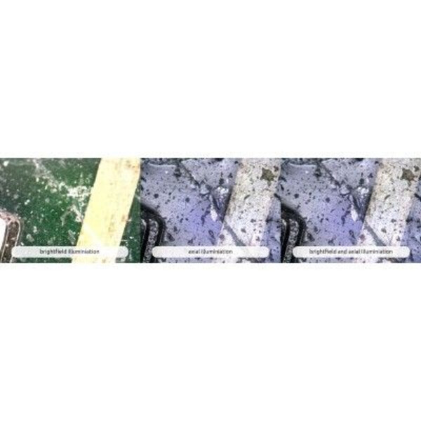 Dino-Lite Microscopio AM7515MT8A, 5 MP, 700-900x, 8 LED, 30 fps, USB 2.0