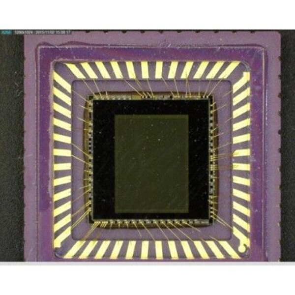 Dino-Lite Microscopio AM4115ZT, 1.3MP, 20-220x, 8 LED, 30 fps, USB 2.0