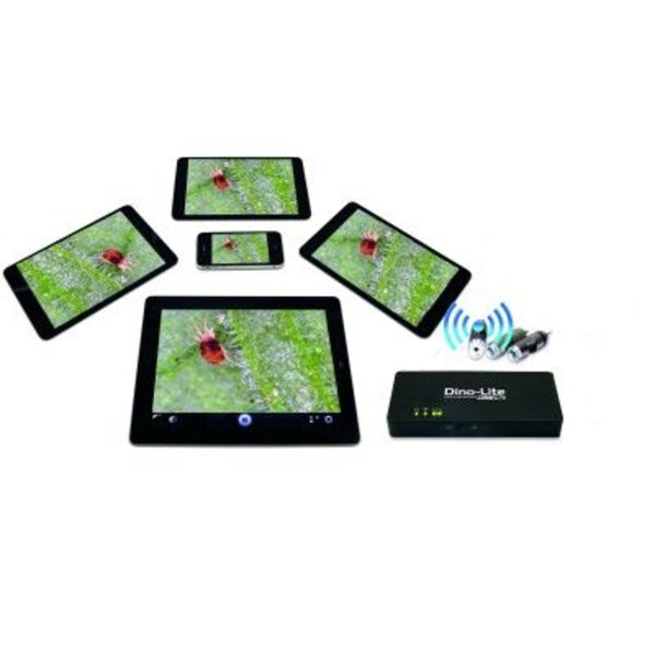 Dino-Lite WiFi Streamer WF-10 per AM/AD/MEDL - Modelli della serie