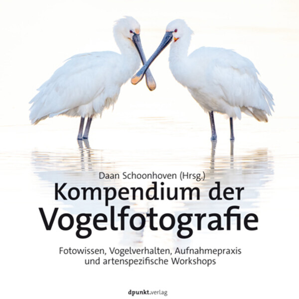dpunkt Compendio di fotografia ornitologica