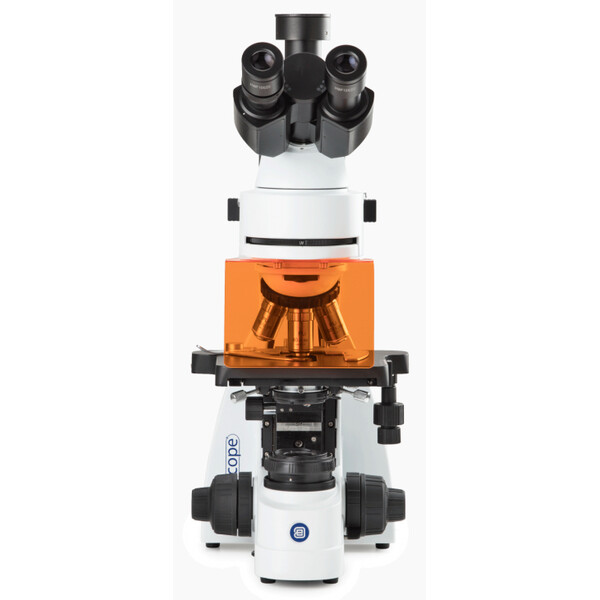 Euromex Microscopio Mikroskop BS.3153-PLFi, trino, 40x-1000x