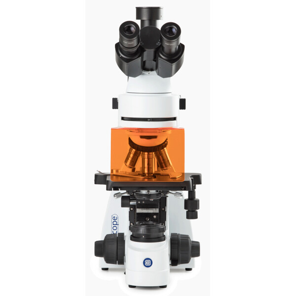 Euromex Microscopio BS.3153-PLFi, trino, 40x-1000x