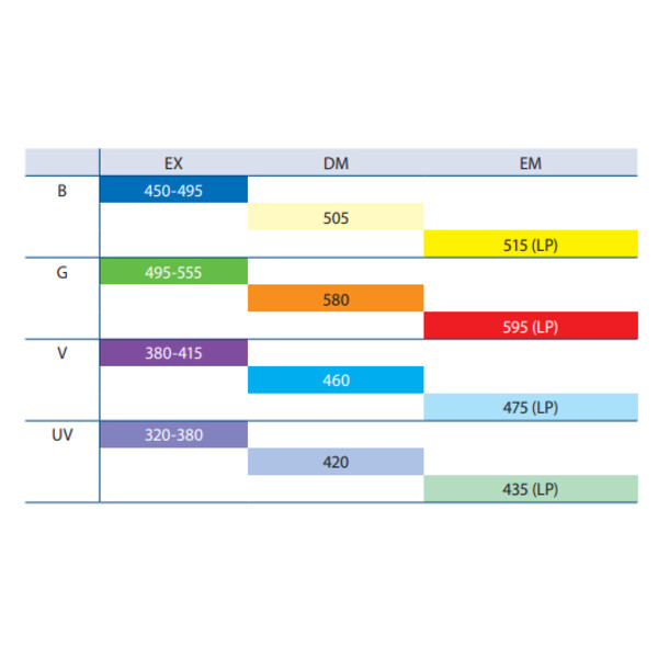 Euromex Microscopio BS.3153-PLFi, trino, 40x-1000x