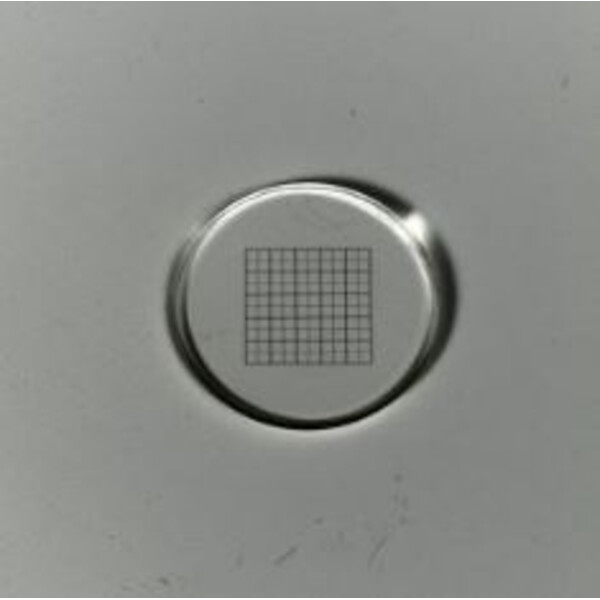 ZEISS Micrometro a rete 10x10/5:10, d=21 mm