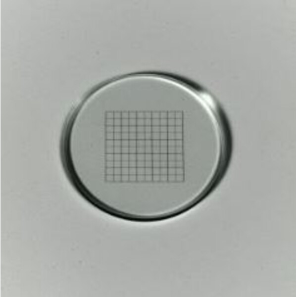 ZEISS Micrometro a rete 12,5x12,5/5;10, d=26 mm