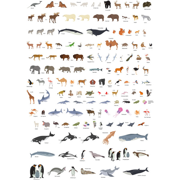 GeoMetro Mappa per Bambini Il mondo degli animali (84 x 60 cm)