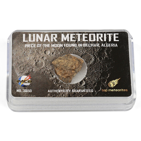 Top Meteorites Vero meteorite lunare Bechar Algeria 1,25-1,75g