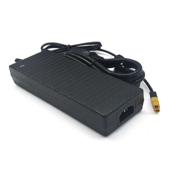 Ikarus Technologies Trasformatore 10A per StellarMate Pro