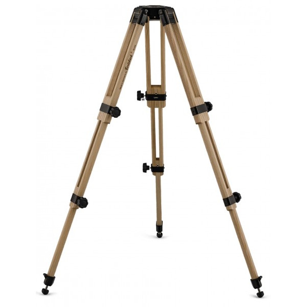 Berlebach Treppiede-Legno Report  833