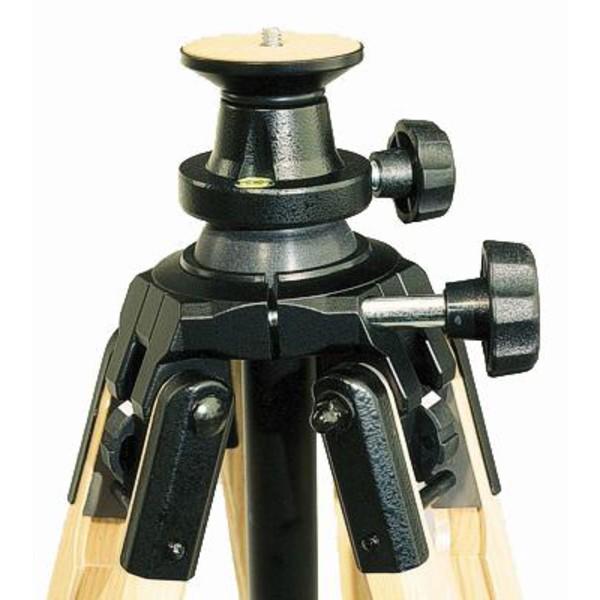 Berlebach Treppiede-Legno Report modello 8043