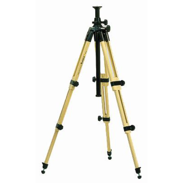Berlebach Treppiede-Legno Report modello 8043