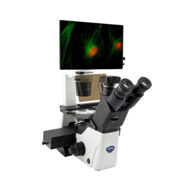 Microscopio invertito IM-300LD4D Digital Inverted LED fluorescence microscope, 400x, IOS LWD PLAN F, 4 empty filterset slots