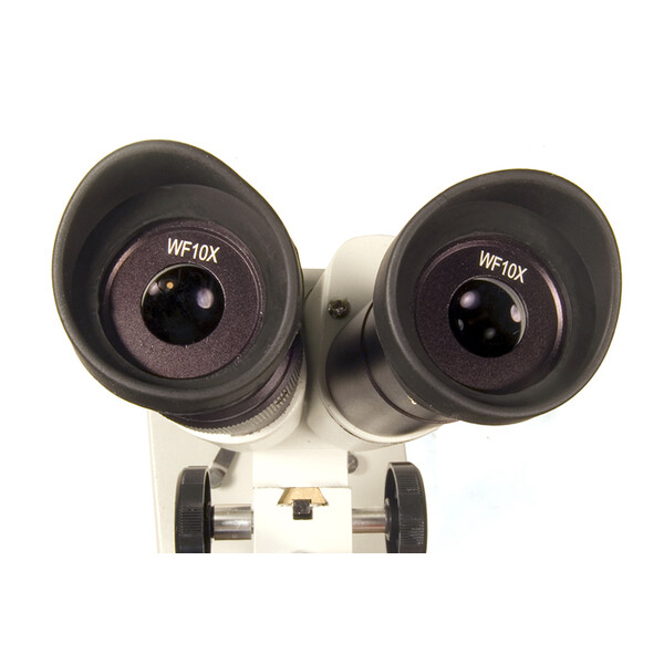 Levenhuk Microscopio stereo 2ST 40x