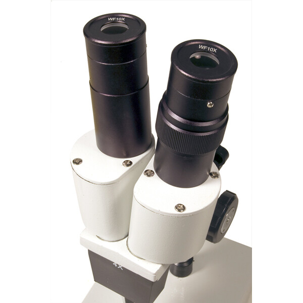 Levenhuk Microscopio stereo 2ST 40x