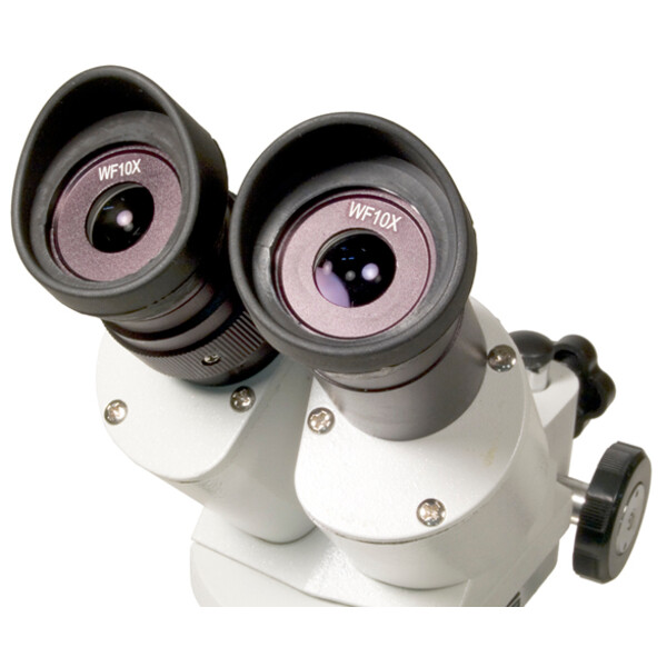 Levenhuk Microscopio stereo 3ST 20-40x Halogen