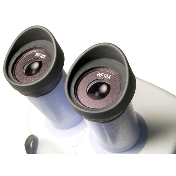 Levenhuk Microscopio stereo 5ST 20-40x LED