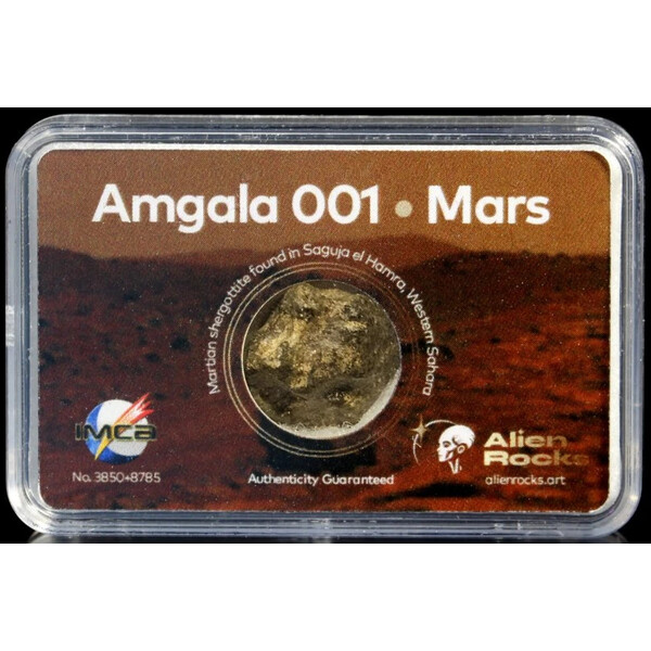 Alien Rocks Meteorite di Marte Amgala 001 0,16 - 0,39 grammi
