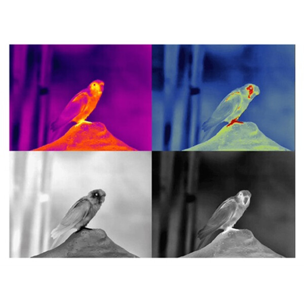 Guide Camera termica TN430