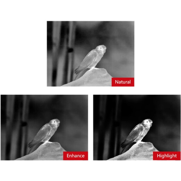 Guide Camera termica TN430