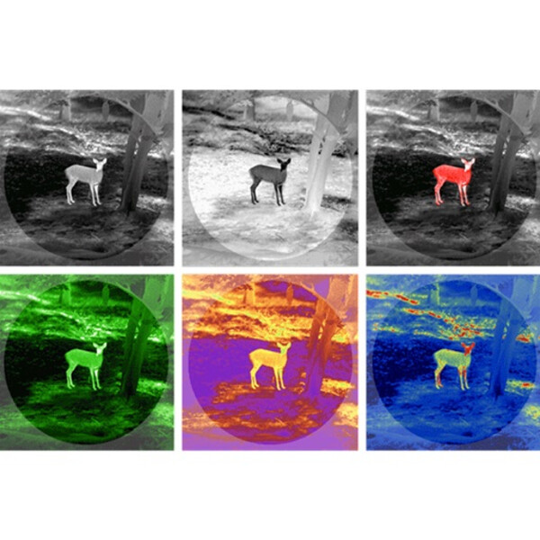Guide Camera termica TN430
