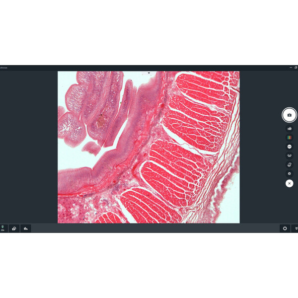 ZEISS Software Modulo Labscope Multi Channel DLic