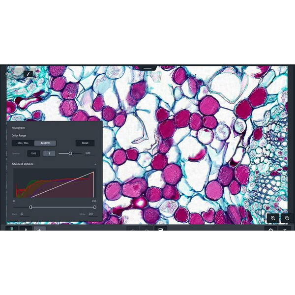 ZEISS Software Modulo Labscope Multi Channel DLic
