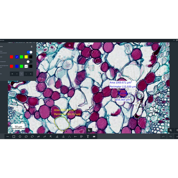 ZEISS Software Modulo Labscope Multi Channel DLic