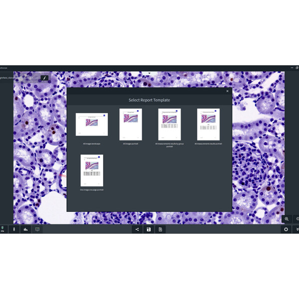 ZEISS Software Modulo Labscope Multi Channel DLic