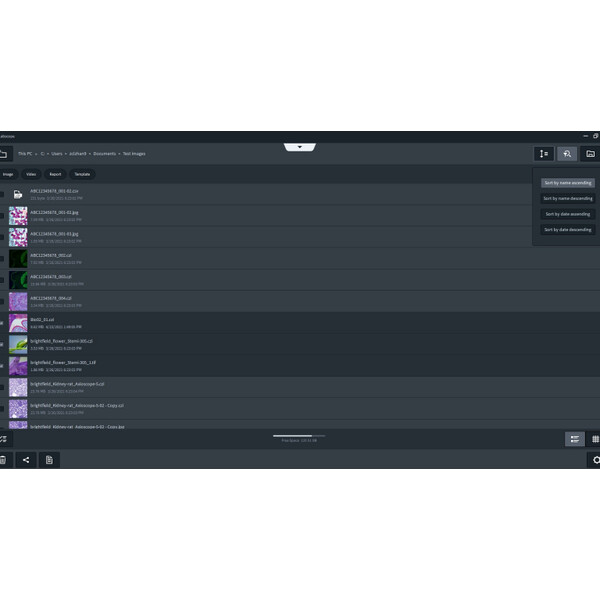 ZEISS Software Modulo Labscope Multi Channel DLic