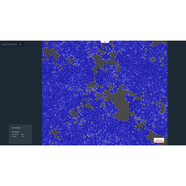 ZEISS Software Labscope Modulo AI Cell Confluency DLic