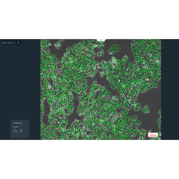 ZEISS Software Labscope Modulo AI Cell Counting DLic