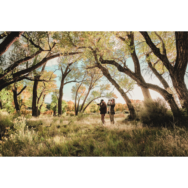 Swarovski Cannocchiali AT Balance 18-45x65