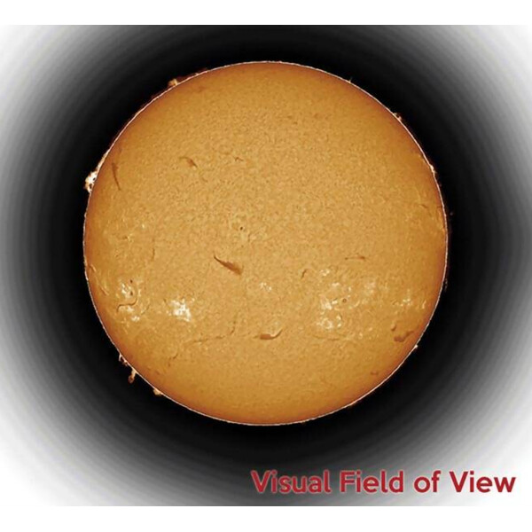 DayStar Telescopio Solare ST 100/1690 Sol 100