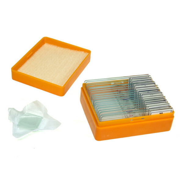 Levenhuk Preparati permanenti N20 NG