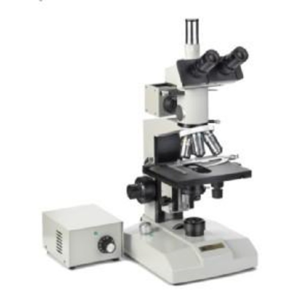 Euromex Microscopio ME.2665 Metallurgia