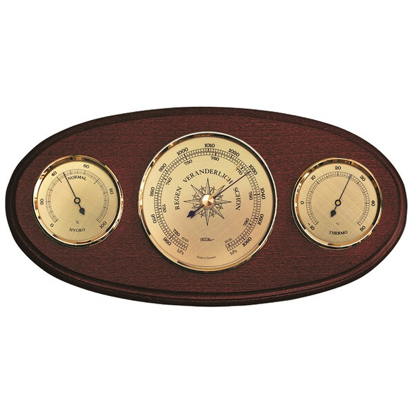 Fischer Stazione meteo 9160