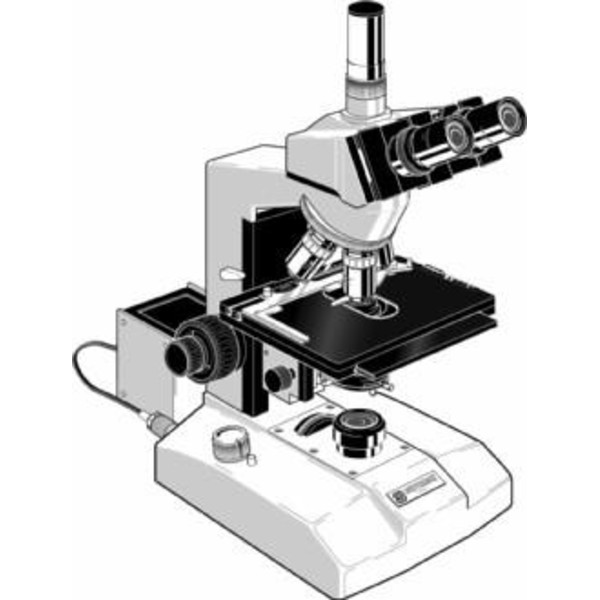 Euromex Microscopio GE.3035