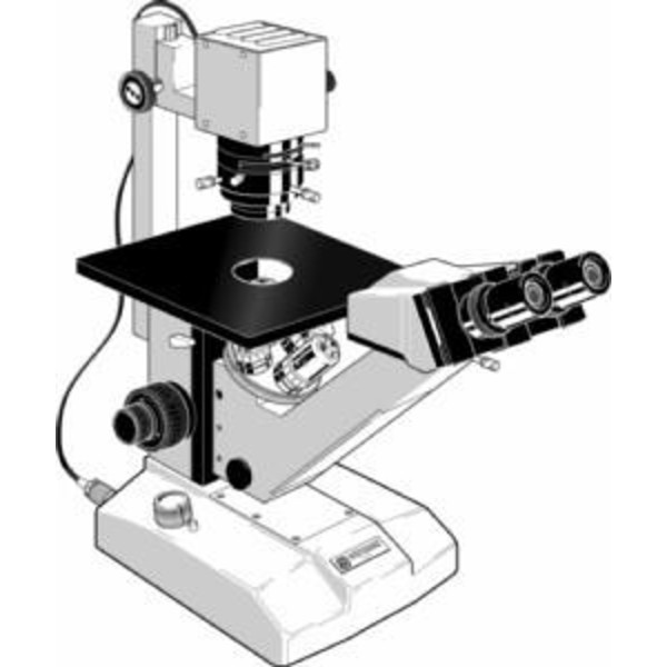 Euromex Microscopio FE.2910, rovesciato
