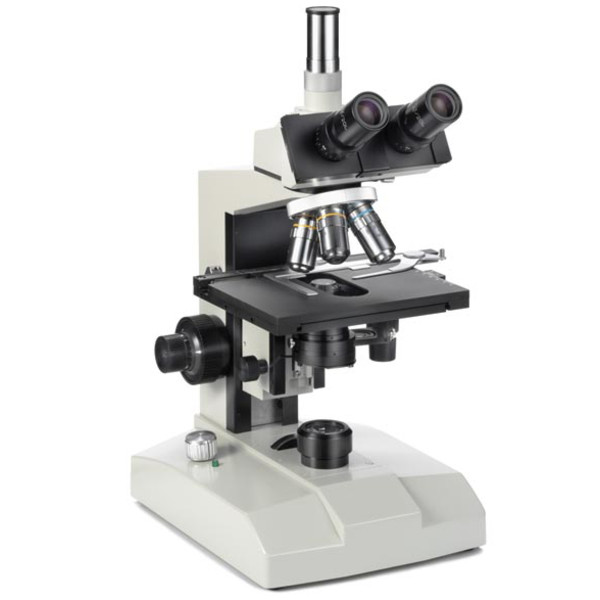 Euromex Microscopio FE.2540 con tavolino riscaldato