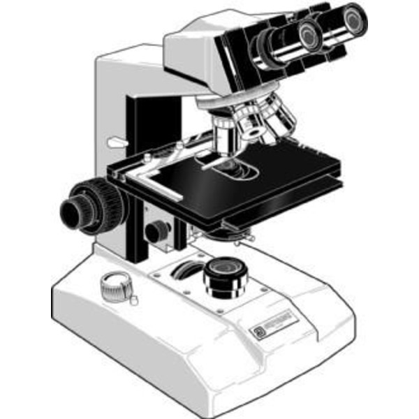 Euromex Microscopio FE.2040