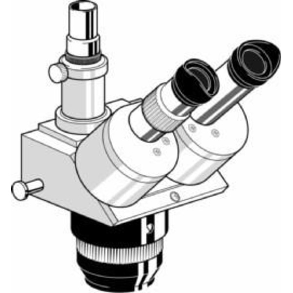 Euromex Microscopio stereoscopico modulare Testa stereo EE.1553, trinoculare
