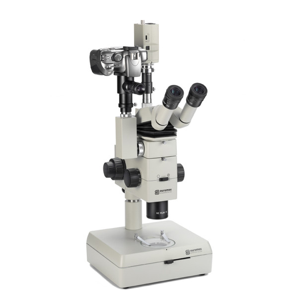 Euromex Microscopio stereoscopico modulare Cavalletto campo chiaro - campo scuro