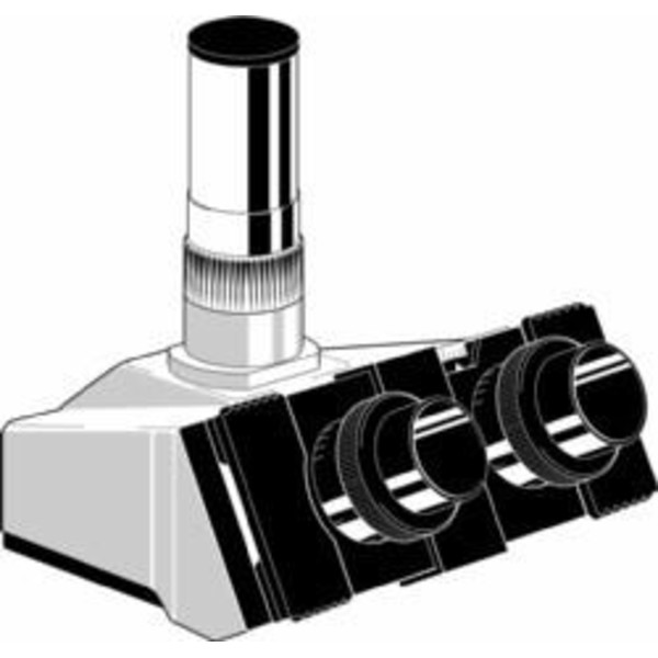 Euromex Microscopio Visore obliquo AE.1115