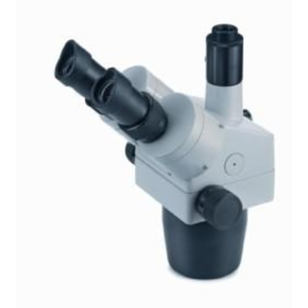 Novex Microscopio stereoscopico modulare Zoomkopf RZT, trinoculare