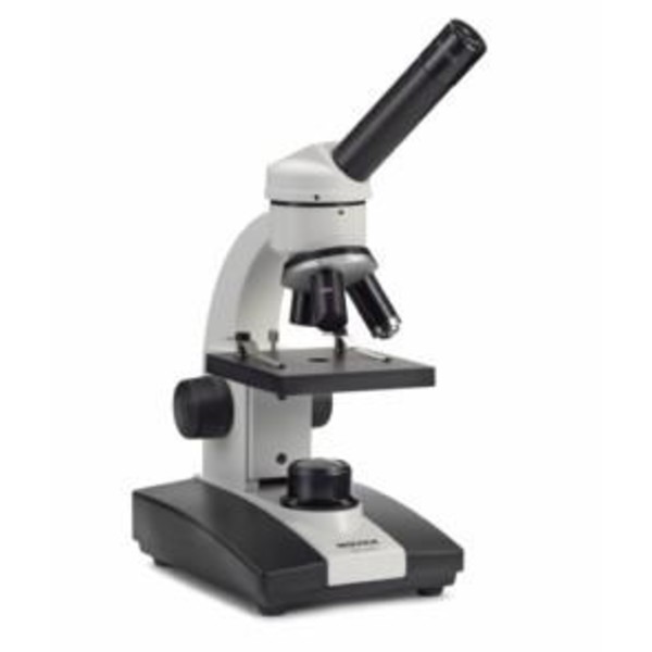 Novex Microscopio LED-Junior
