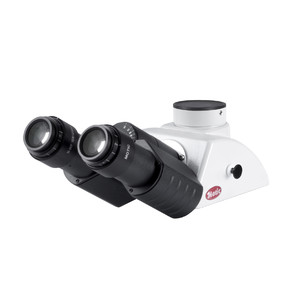 Motic BA310 Testa binoculare Siedentopf 30°; 360° ruotabile (50:50)